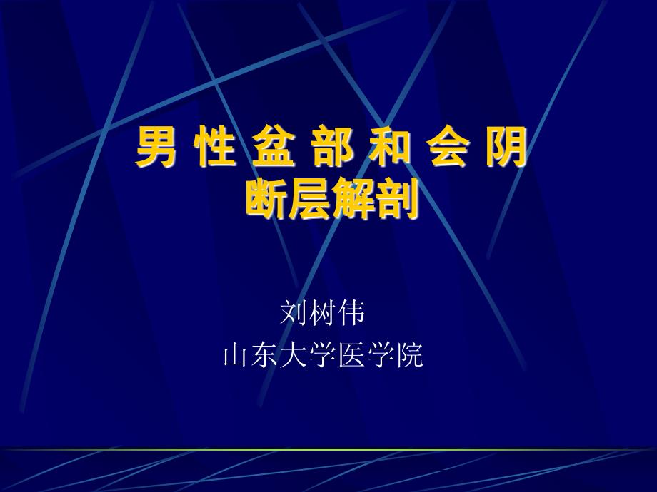 男性盆部和会阴断层解剖ppt课件_第1页