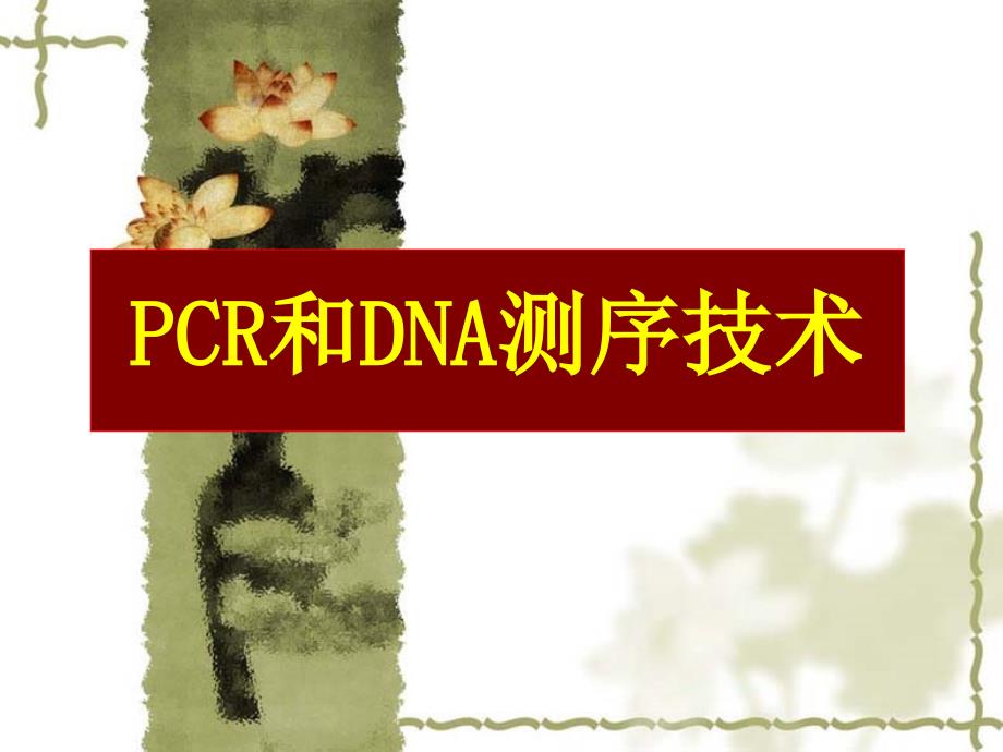 《PCR和DNA测序》PPT课件_第1页