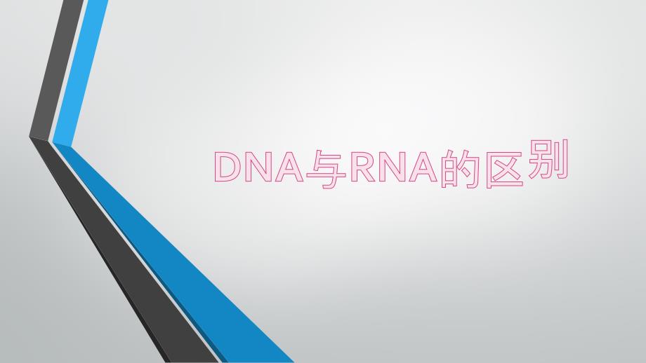 DNA与RNA的区别_第1页