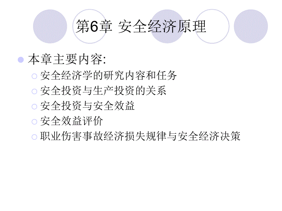 《安全经济原理》PPT课件_第1页