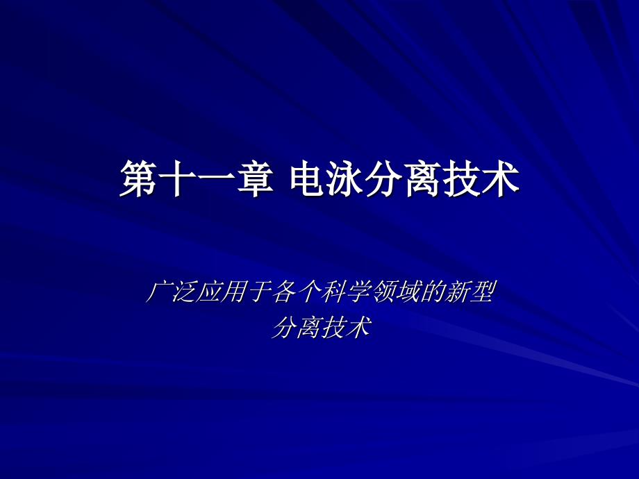 《电泳分离技术》PPT课件_第1页