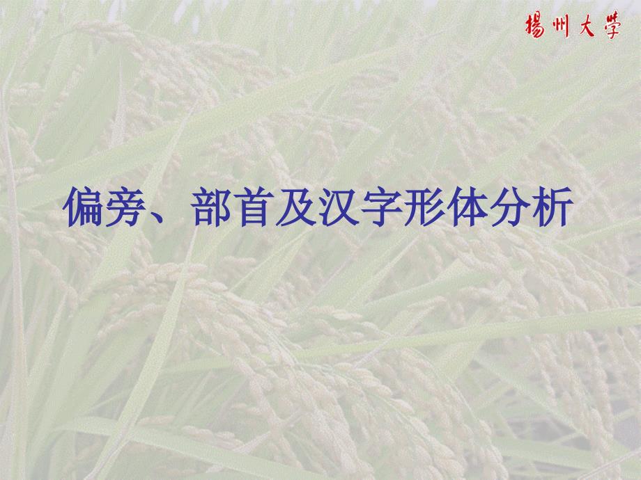 偏旁、部首及汉字形体分析_第1页