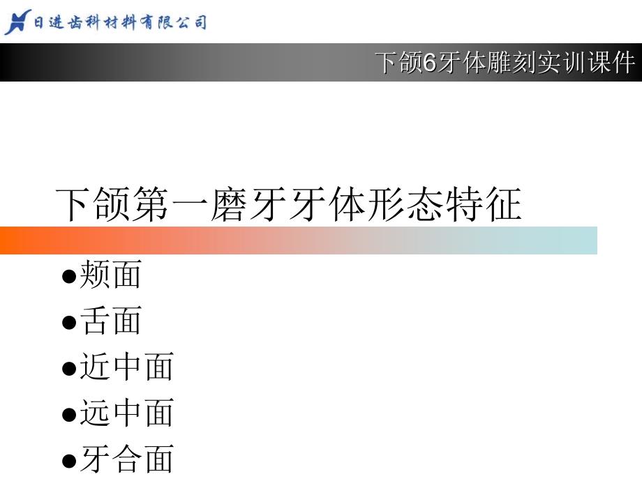 《牙体形态简述》PPT课件_第1页