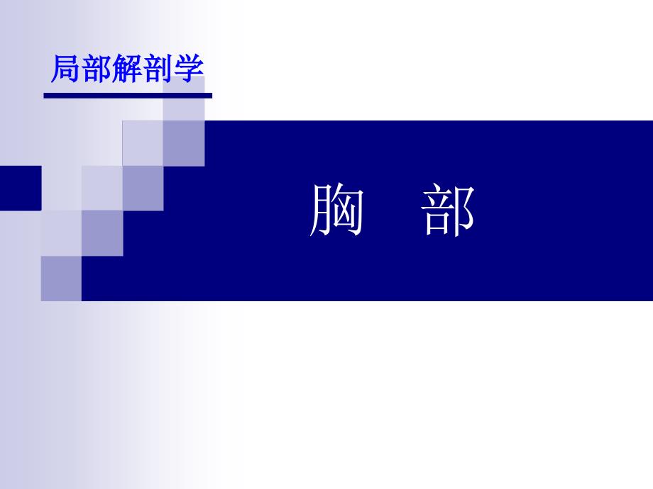 《胸部局解断层》PPT课件_第1页