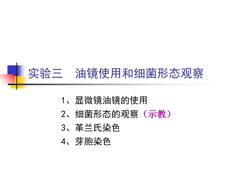 实验三显微镜油镜的使用及细菌形态观察_第1页