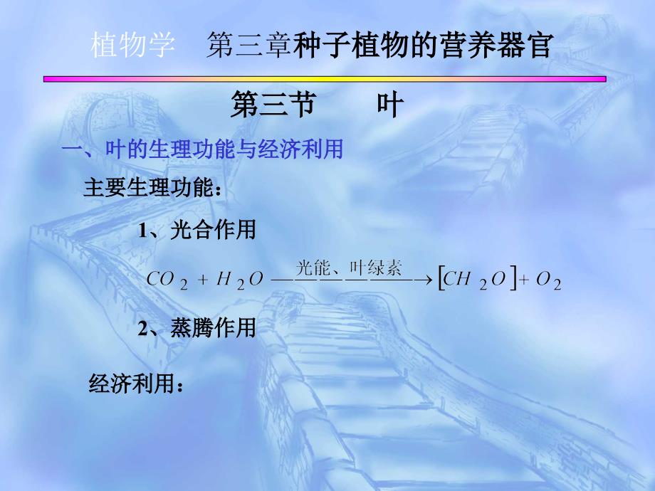 植物学第三章种子植物的营养器官_第1页