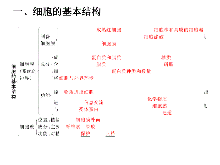 胞结构知识框架_第1页