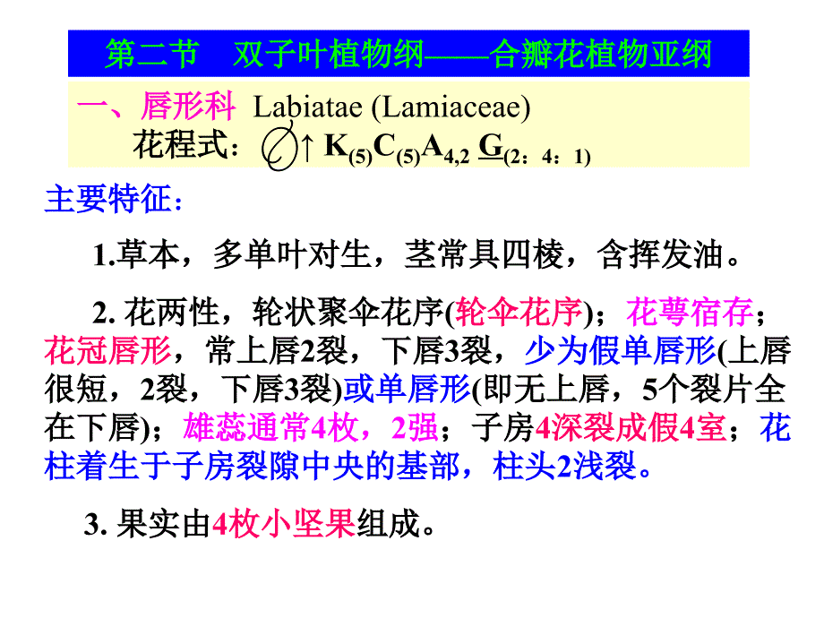 药用植物学课件-被子植物代表植物(三)_第1页