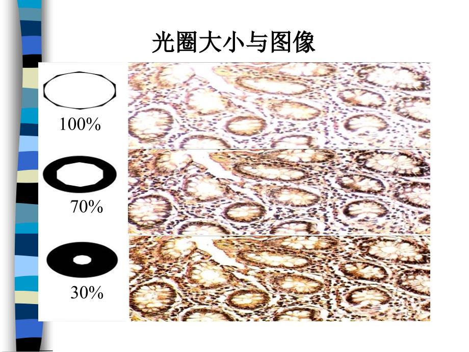 普通微生物学实验_第1页