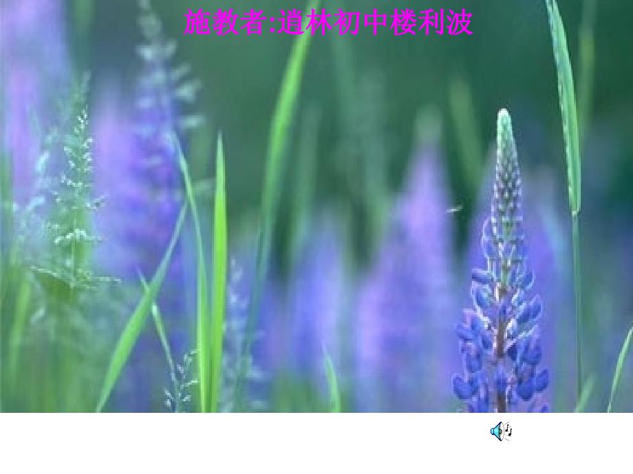 生物入侵者课件_第1页