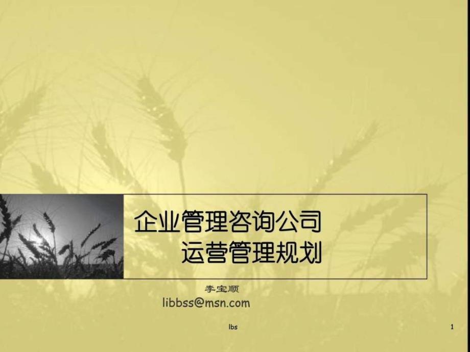 企业管理顾公司业务运营规划_第1页