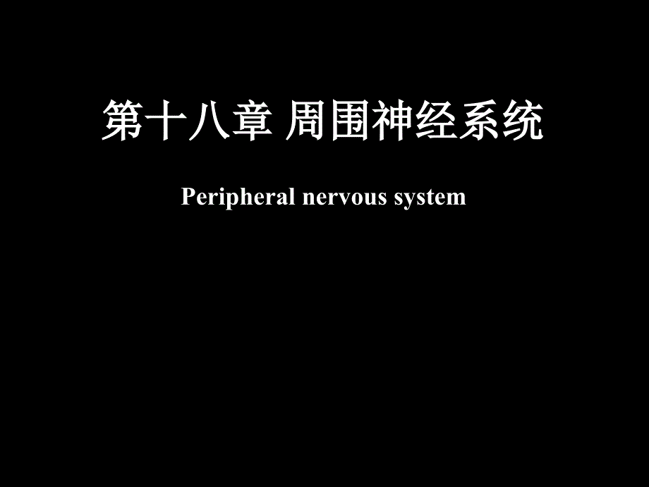 脊神经解剖图ppt参考课件_第1页