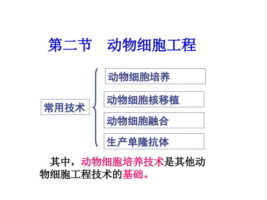 动物细胞工程课时_第1页