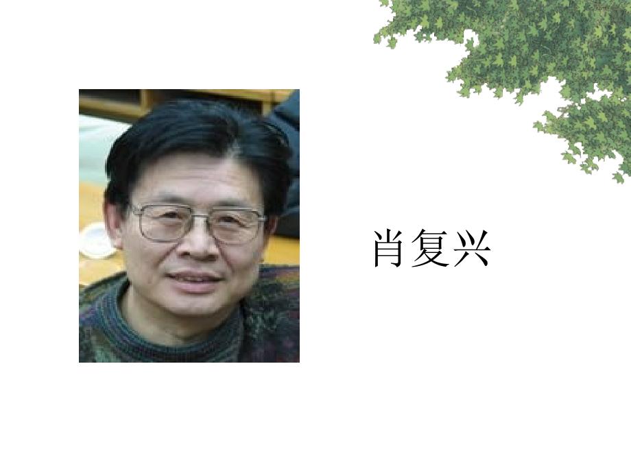 教育专题：教育专题：那片绿绿的爬山虎 (3)_第1页