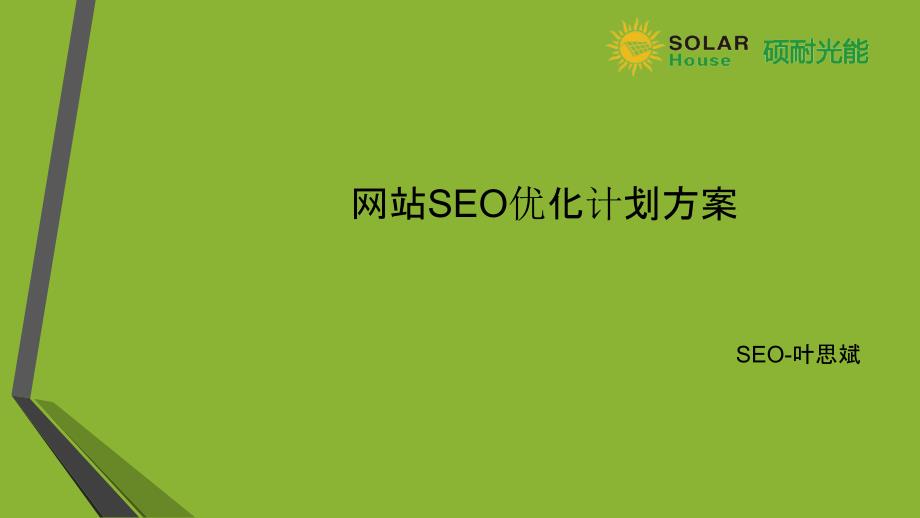 网站SEO优化方案_第1页