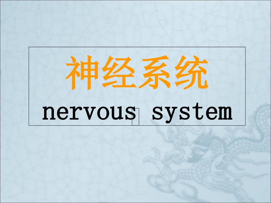 脑和脊髓的被膜和血管、脑室和脑脊液PPT课件_第1页