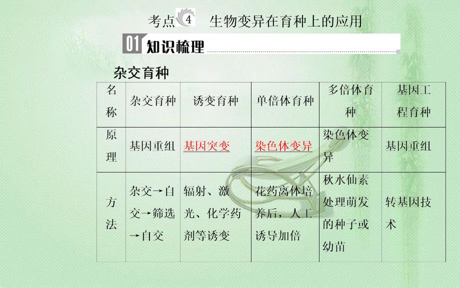 高中生物学业水平复习 专题九 生物的变异 考点4 生物变异在育种上的应用优质课件_第1页