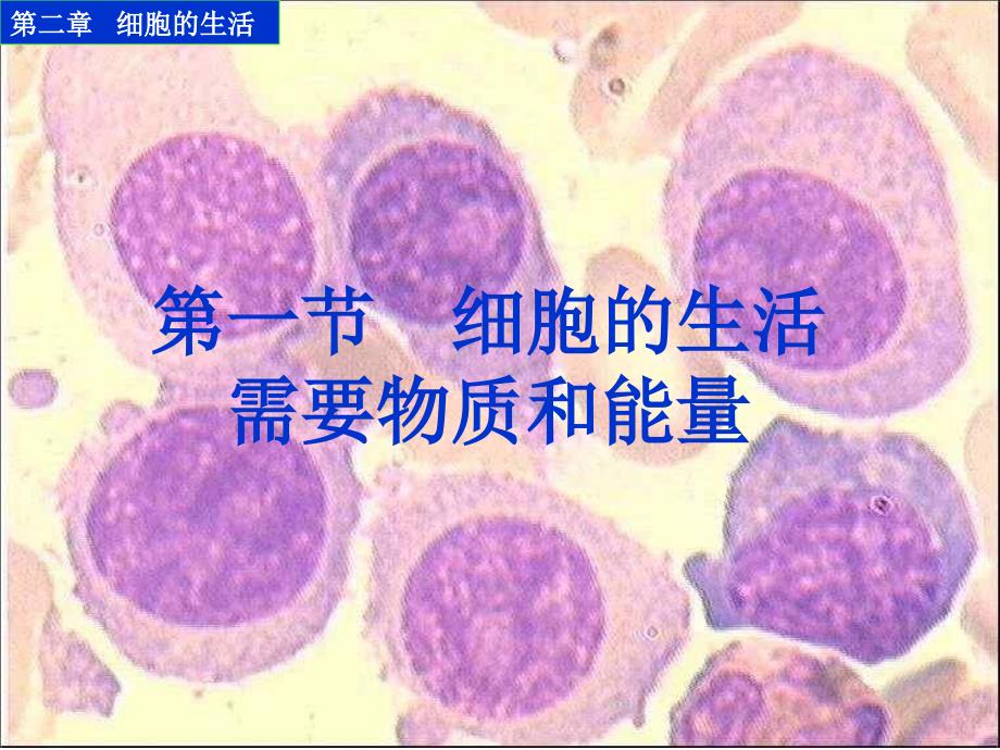 细胞的生活需要物质和能量_第1页