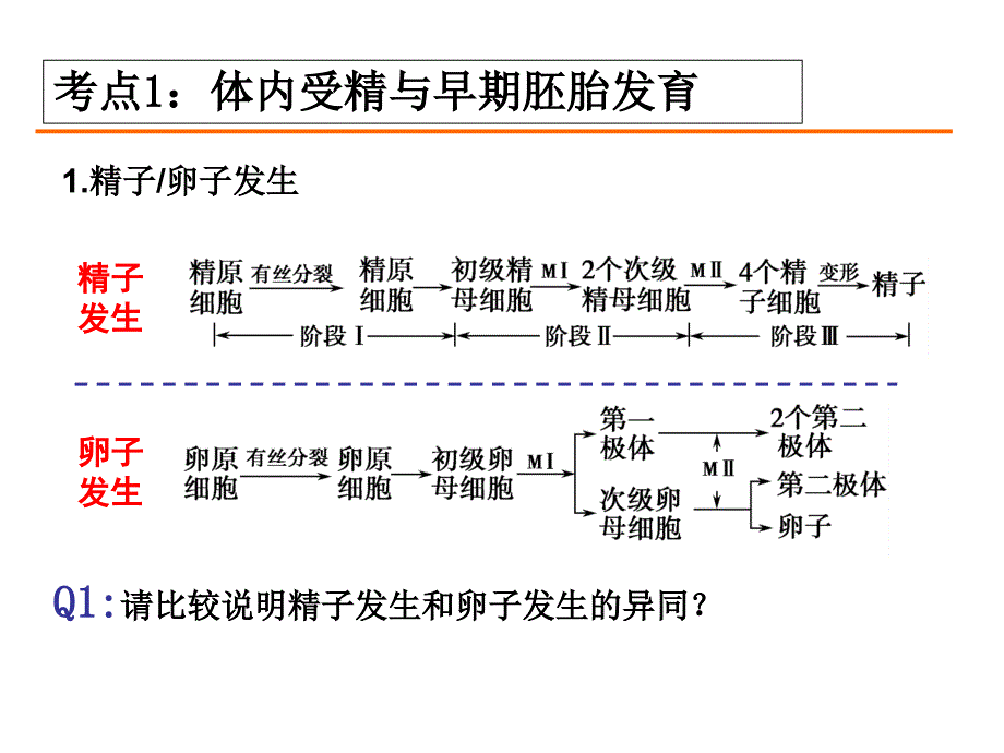 胚胎工程高三一轮复习公开课_第1页