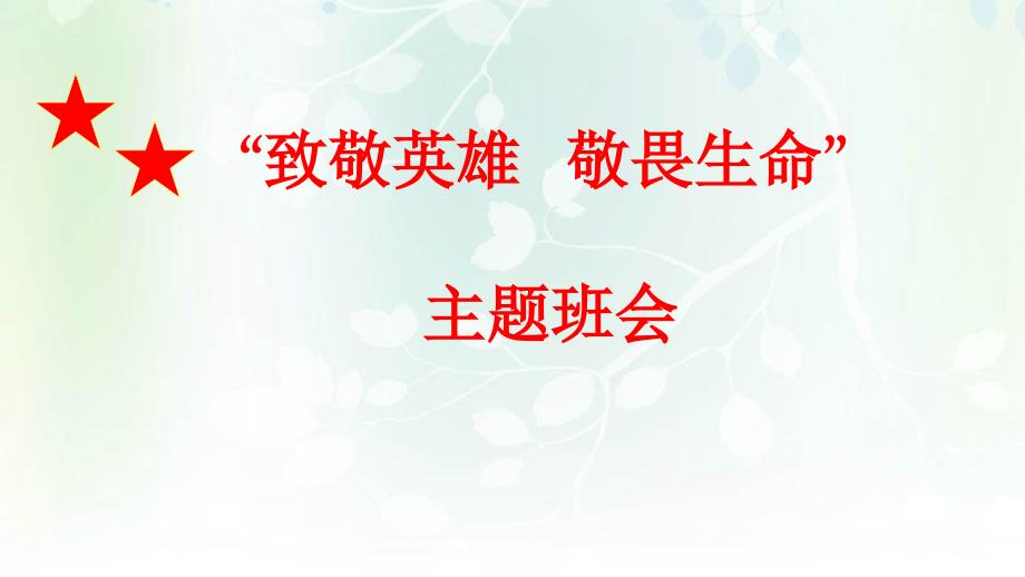 疫情主题班会ppt课件《致敬英雄敬畏生命》_第1页