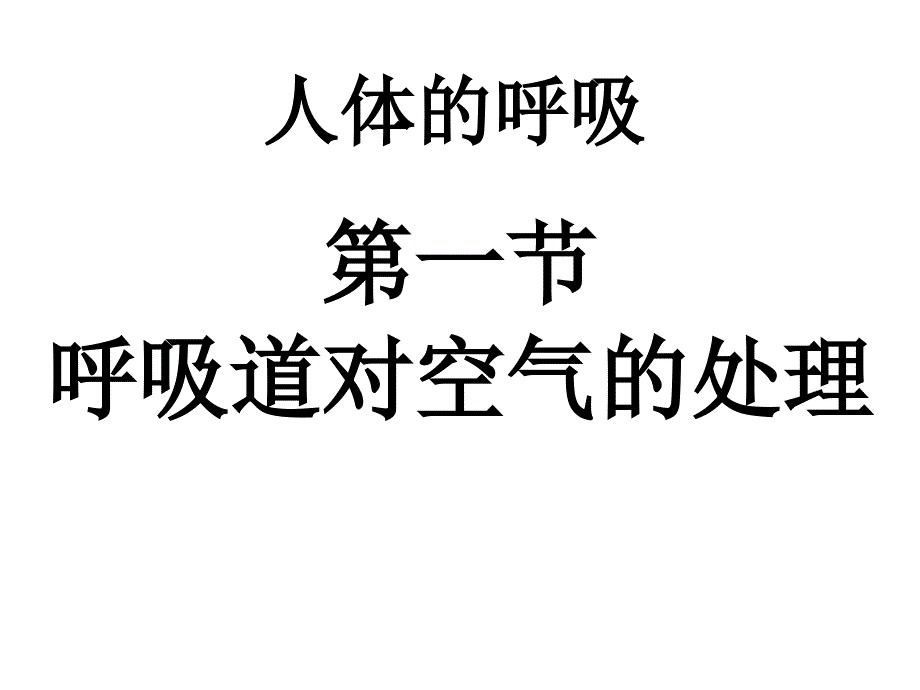 呼吸道对空气的处理课件_第1页