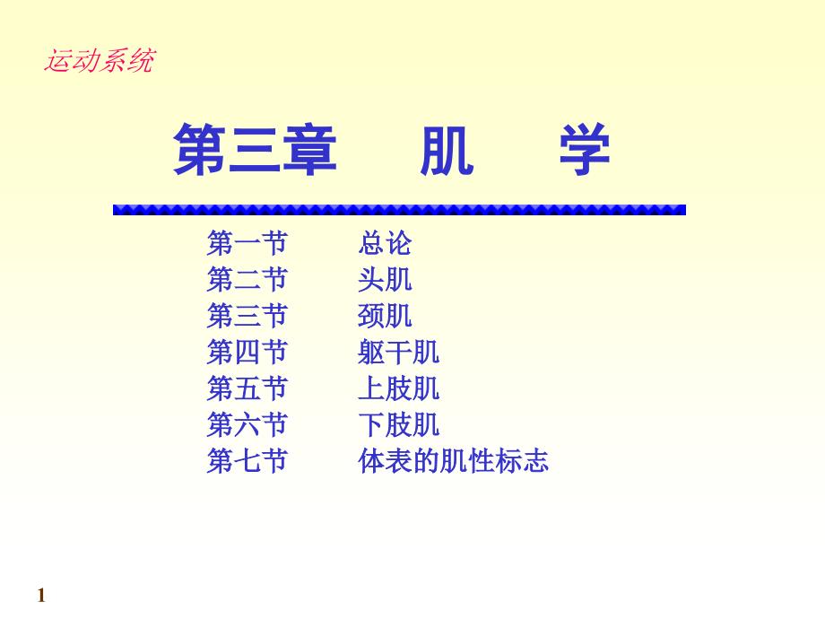 人体系统解剖教程4-运动系统-肌学_第1页