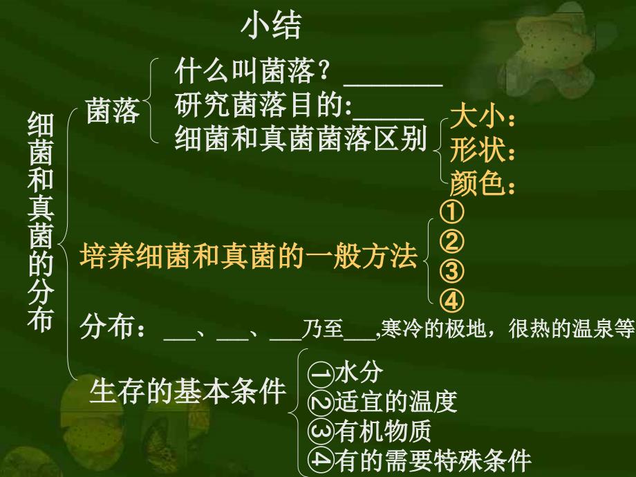 细菌和真菌分布_第1页