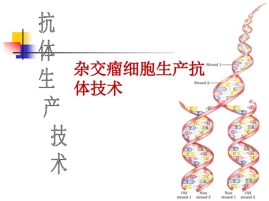 杂交瘤细胞生产抗体技术(精品)_第1页