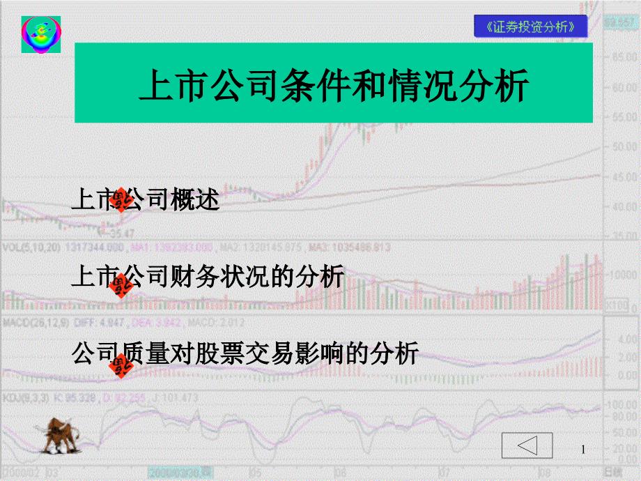 上市公司条件和情况分析(ppt117)_第1页