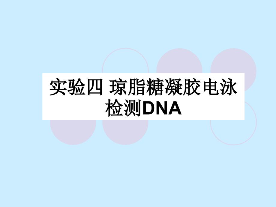 实验4-琼脂糖凝胶电泳检测DNA-培训资料课件_第1页