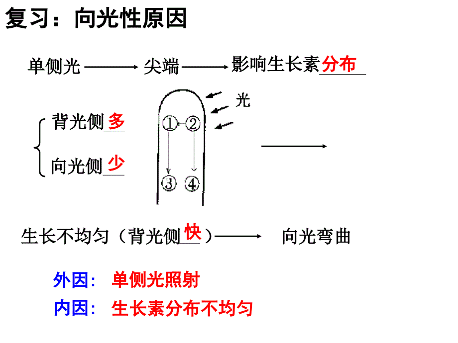 生长素的特性与生理作用课件_第1页