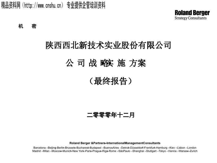 公司战略实施方案_第1页