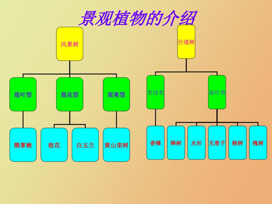 景观植物的介绍_第1页