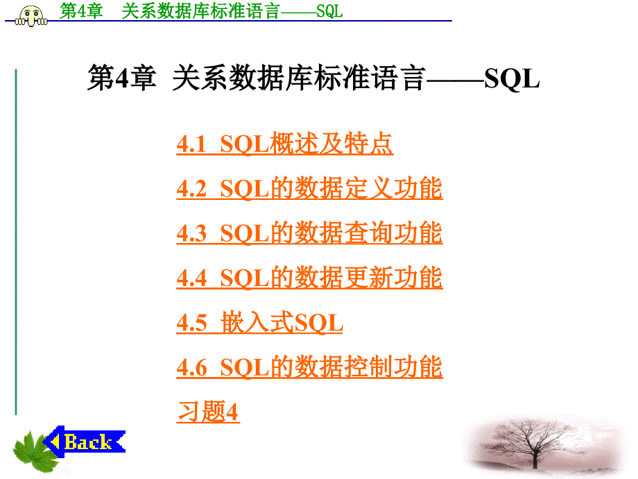 数据库技术及应用第4章关系数据库标准语言sql_第1页