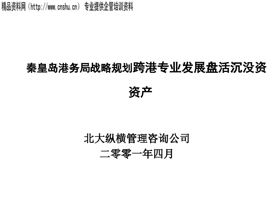 大纵横-秦皇岛港务局战略规划(2)_第1页