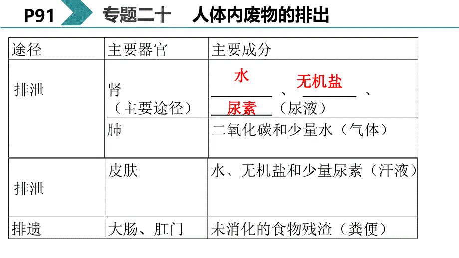 第1节人体产生的代谢废物 (2)(精品)_第1页