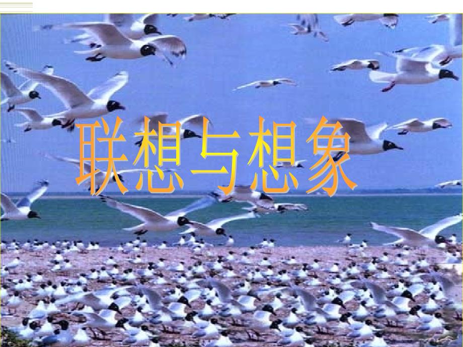 联想想象的区别_第1页