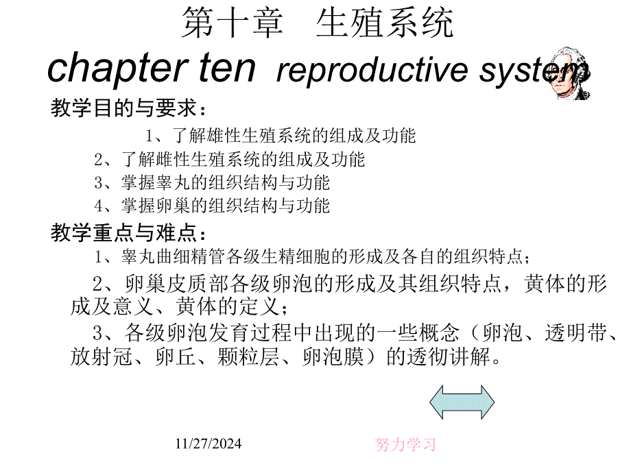 生殖系统reproductivesystem_第1页