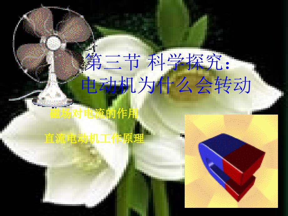 第三节科学探究：电动机为什么会转动 (2)(精品)_第1页