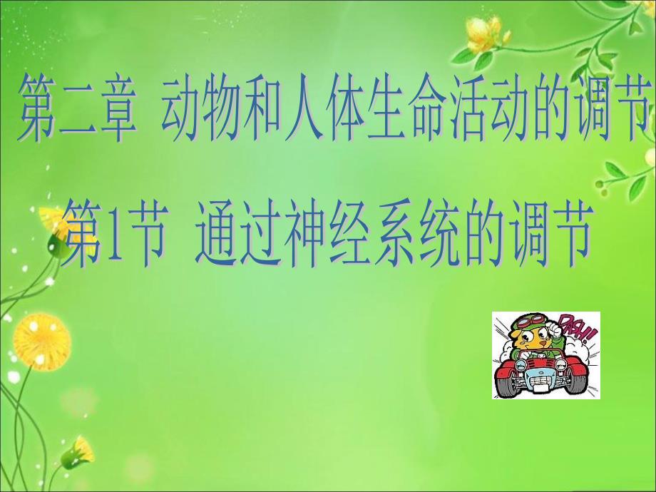 神经系统的调节复习课件_第1页