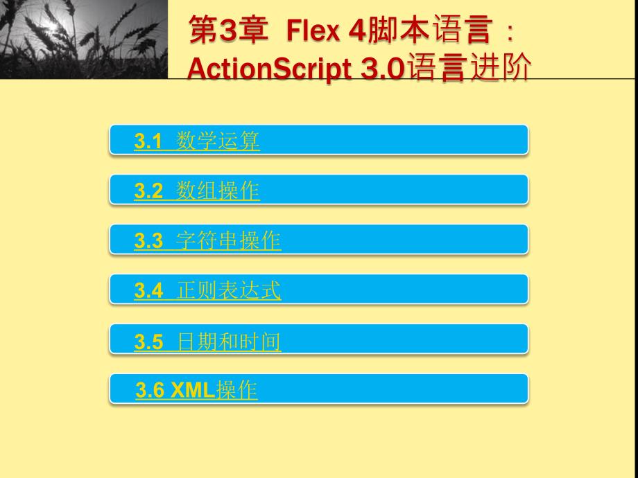 第3章 Flex4腳本語言ActionScript30語言進階_第1頁