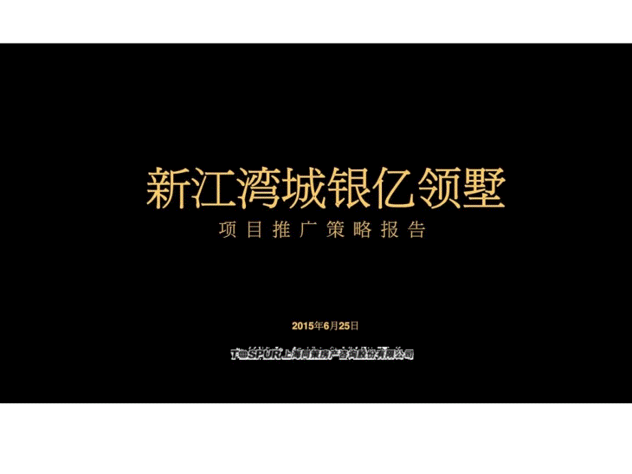 上海新江灣城銀億領(lǐng)墅純別墅社區(qū)項(xiàng)目推廣策略報告營銷策劃方案_第1頁