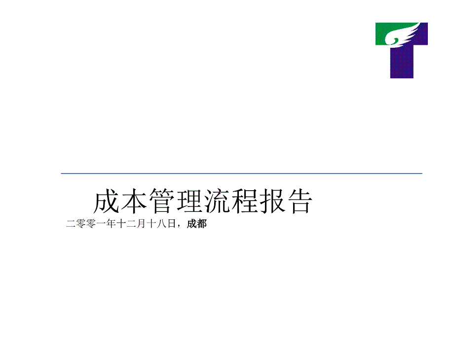 某咨询—天歌集团成本管理流程咨询报告_第1页