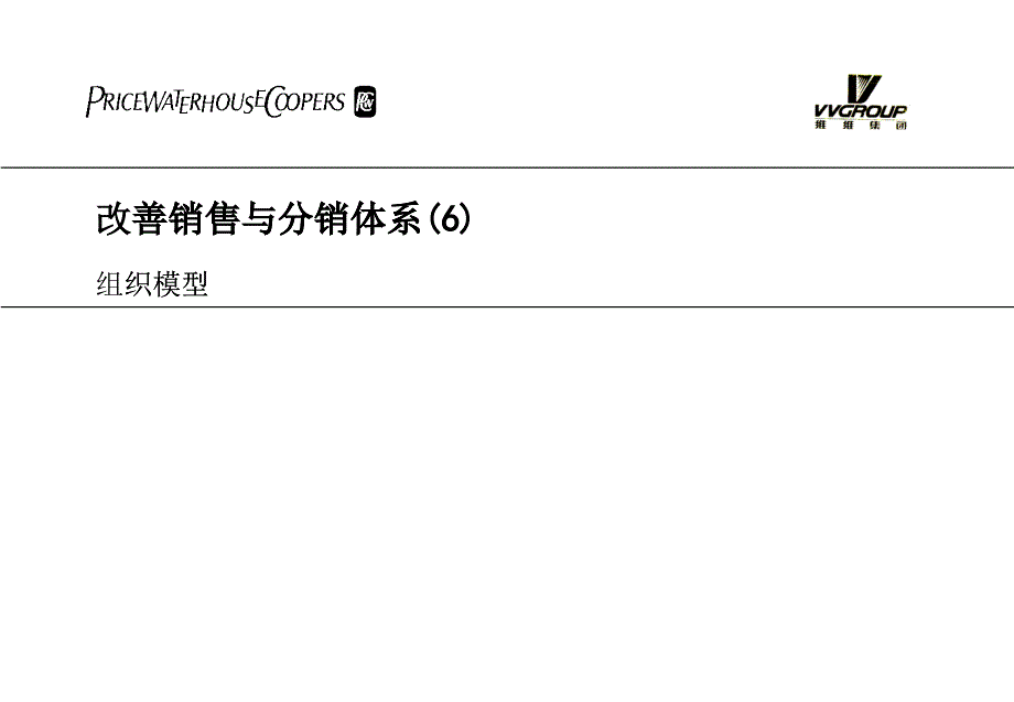 某咨询维维集团改善销售与分销体系_第1页