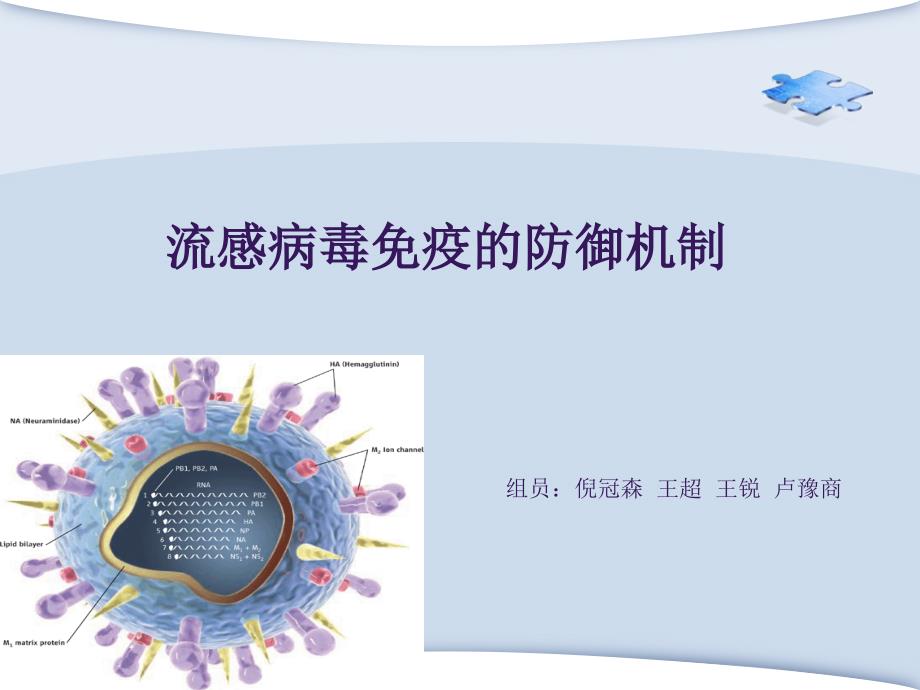 流感病毒免疫的防御机制(同名1222)课件_第1页