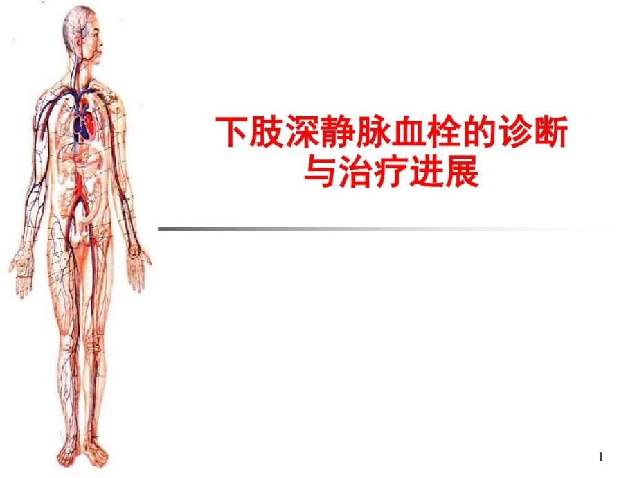 下肢深静脉血栓的诊断与治疗进展课件_第1页