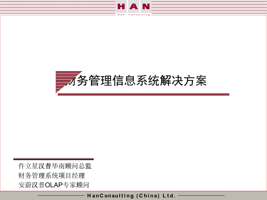 某咨询管理咨询（中国）有限公司财务管理信息系统解决方案_第1页