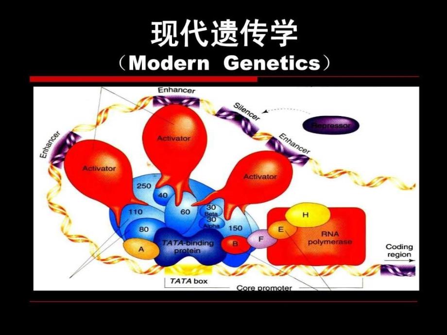 遗传学第一章经典遗传学的诞生_第1页