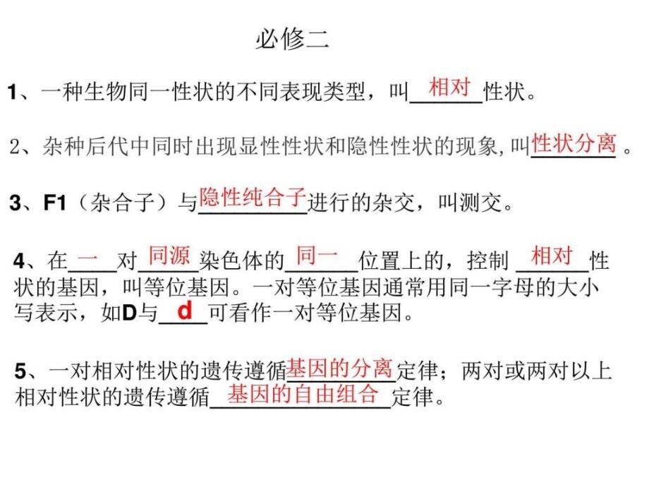 高中生物必修二复习要点_第1页