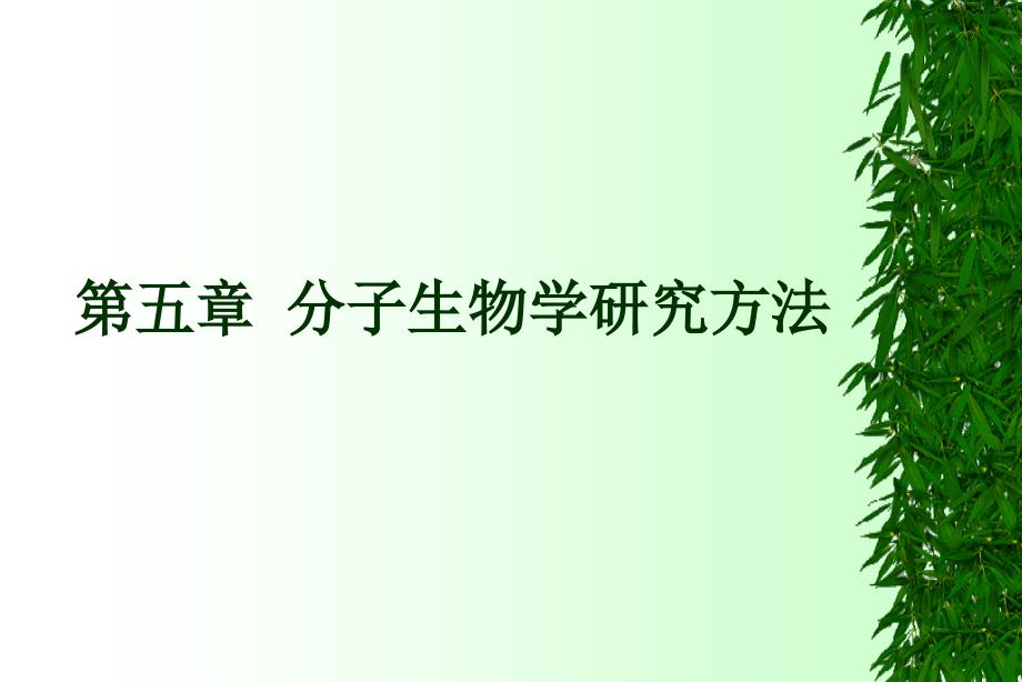 5分子生物學研究方法_《分子生物學》課件_第1頁